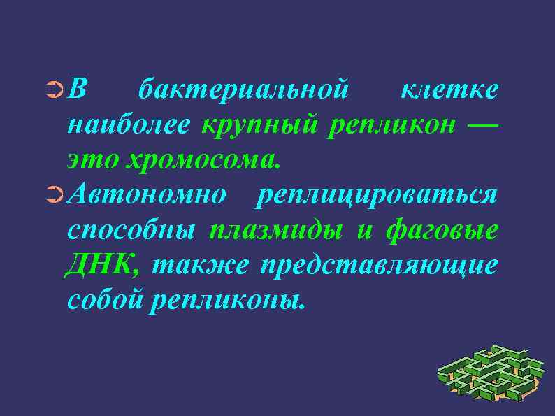 ➲В бактериальной клетке наиболее крупный репликон — это хромосома. ➲Автономно реплицироваться способны плазмиды и