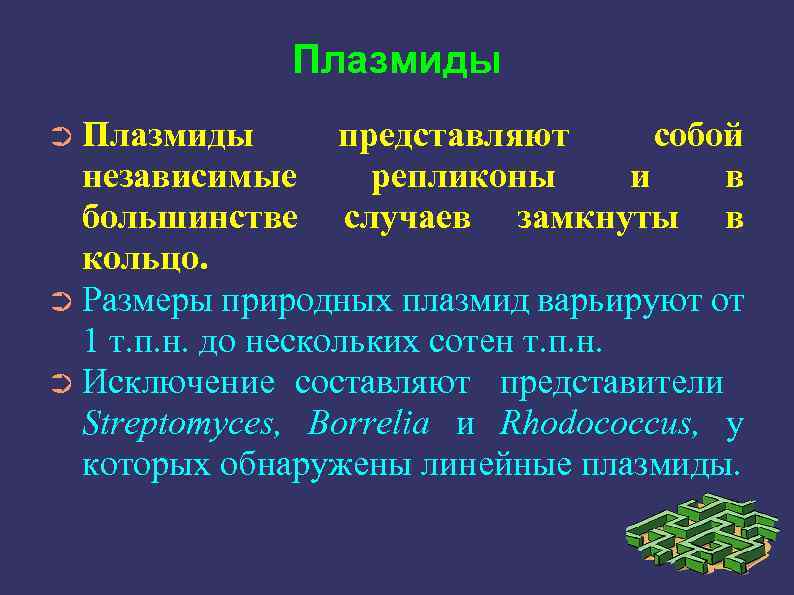 Плазмиды ➲ Плазмиды представляют собой репликоны и в случаев замкнуты в независимые большинстве кольцо.