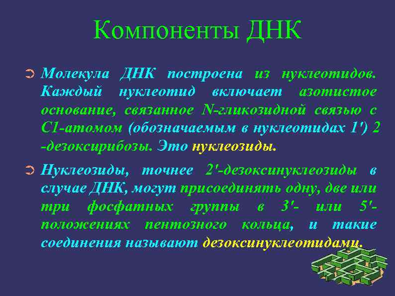 Получение компонентов геншин. Компоненты ДНК. Составные компоненты ДНК. Ген 6р23 описание.