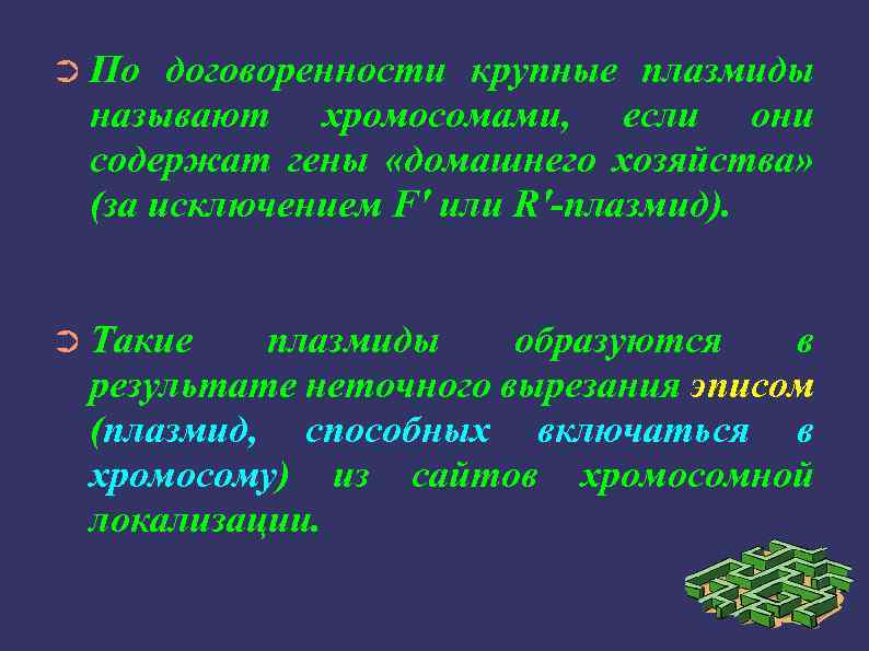 ➲ По договоренности крупные плазмиды называют хромосомами, если они содержат гены «домашнего хозяйства» (за