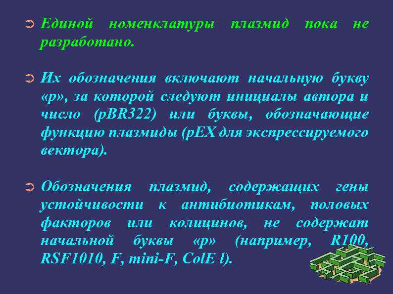 ➲ Единой номенклатуры плазмид пока не разработано. ➲ Их обозначения включают начальную букву «р»