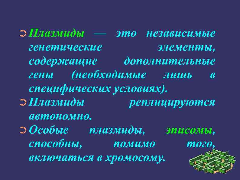 ➲ Плазмиды — это независимые генетические элементы, содержащие дополнительные гены (необходимые лишь в специфических