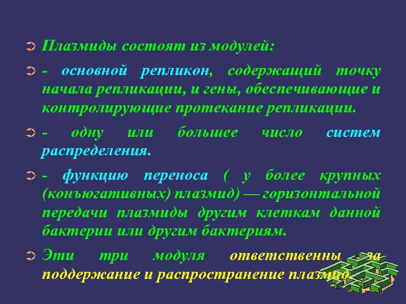 Плазмиды состоят из модулей: ➲ - основной репликон, содержащий точку начала репликации, и гены,