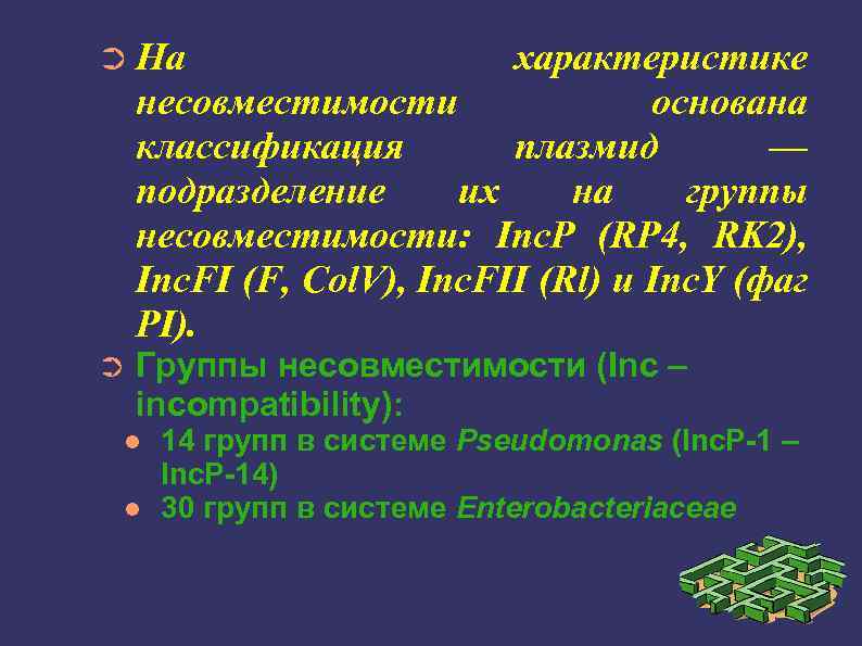 ➲ На характеристике несовместимости основана классификация плазмид — подразделение их на группы несовместимости: Inc.