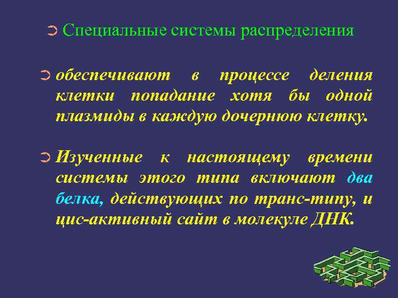 ➲ Специальные системы распределения ➲ обеспечивают в процессе деления клетки попадание хотя бы одной