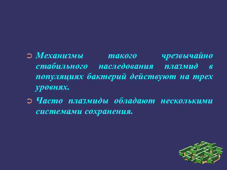 ➲ Механизмы такого чрезвычайно стабильного наследования плазмид в популяциях бактерий действуют на трех уровнях.