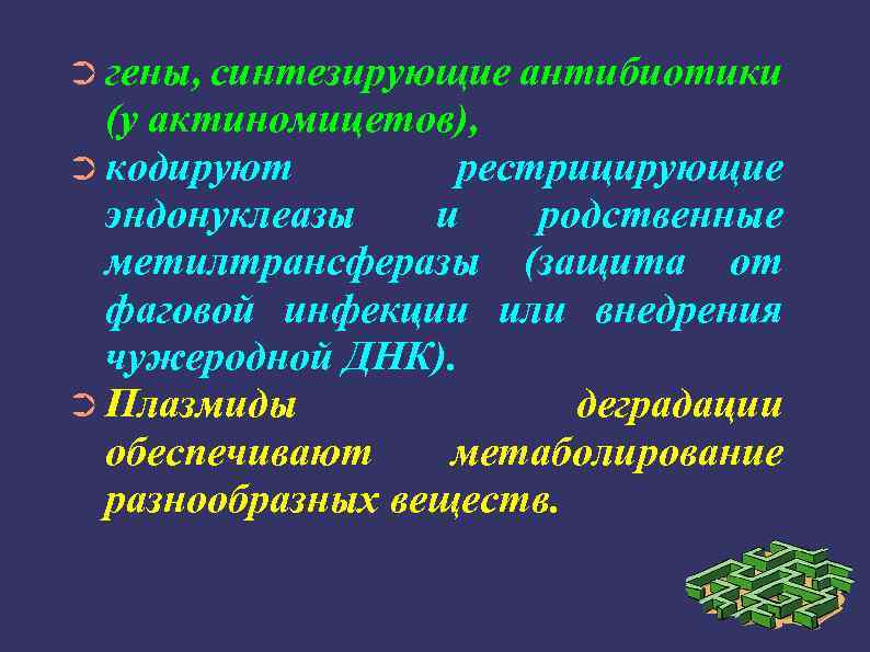 ➲ гены, синтезирующие антибиотики (у актиномицетов), ➲ кодируют рестрицирующие эндонуклеазы и родственные метилтрансферазы (защита