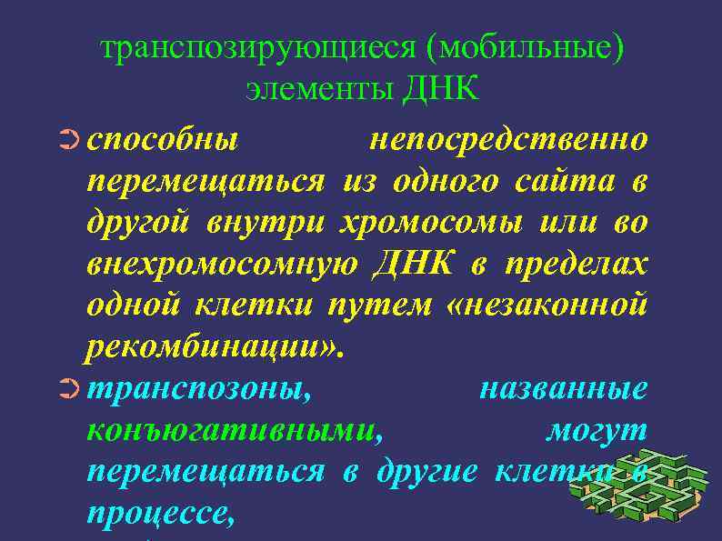 транспозирующиеся (мобильные) элементы ДНК ➲ способны непосредственно перемещаться из одного сайта в другой внутри