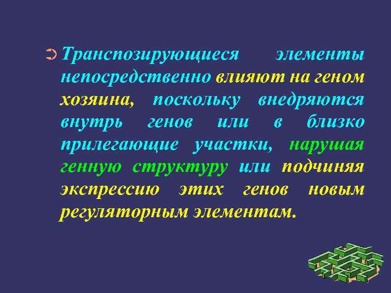 ➲ Транспозирующиеся элементы непосредственно влияют на геном хозяина, поскольку внедряются внутрь генов или в