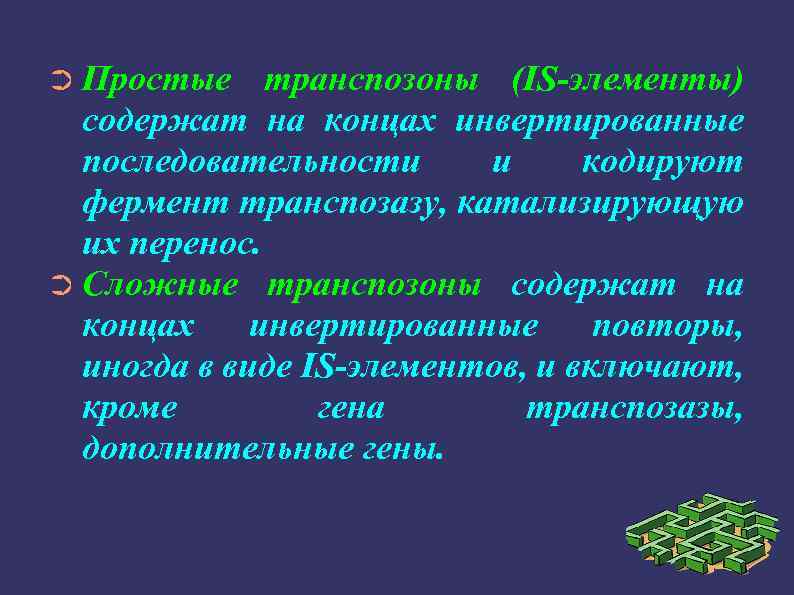 ➲ Простые транспозоны (IS-элементы) содержат на концах инвертированные последовательности и кодируют фермент транспозазу, катализирующую