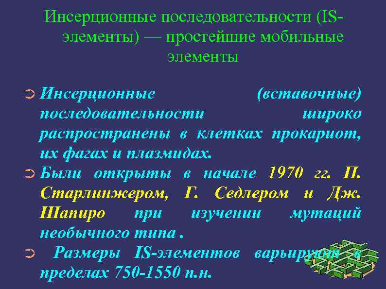 Инсерционные последовательности (ISэлементы) — простейшие мобильные элементы ➲ Инсерционные (вставочные) последовательности широко распространены в