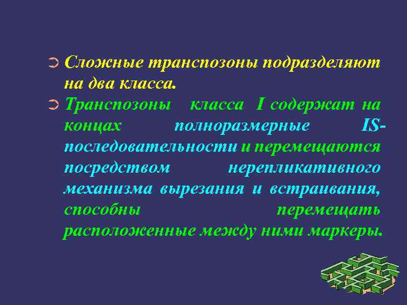 ➲ Сложные транспозоны подразделяют на два класса. ➲ Транспозоны класса I содержат на концах