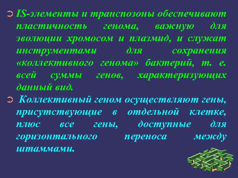 ➲ IS-элементы и транспозоны обеспечивают пластичность генома, важную для эволюции хромосом и плазмид, и