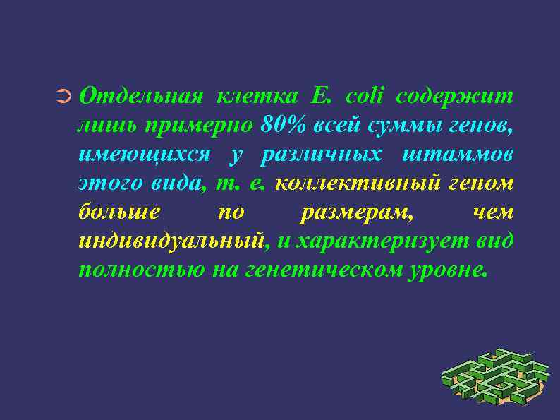 ➲ Отдельная клетка Е. coli содержит лишь примерно 80% всей суммы генов, имеющихся у