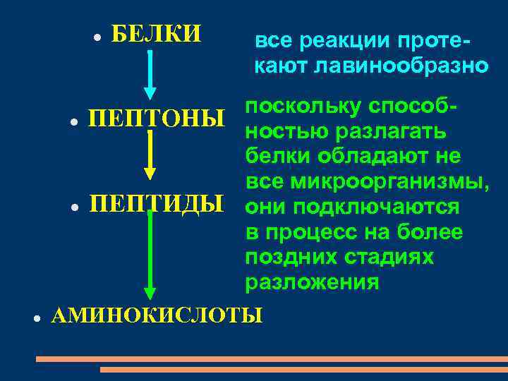  БЕЛКИ все реакции протекают лавинообразно поскольку способ ПЕПТОНЫ ностью разлагать белки обладают не