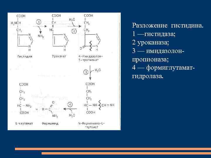 Окисление в органическом синтезе. Гистидин уроканиновая кислота. Окисление гистидина. Превращение гистидина в уроканиновую кислоту. Уроканиновая кислота формула.