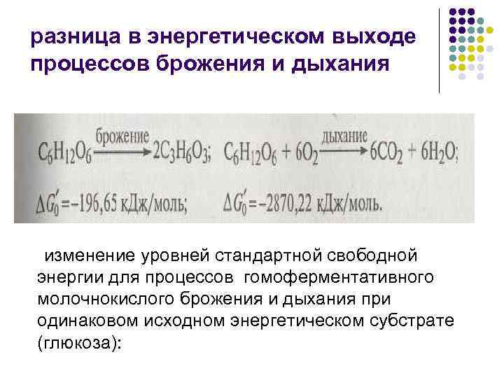 Сравнение брожения и дыхания лабораторная работа