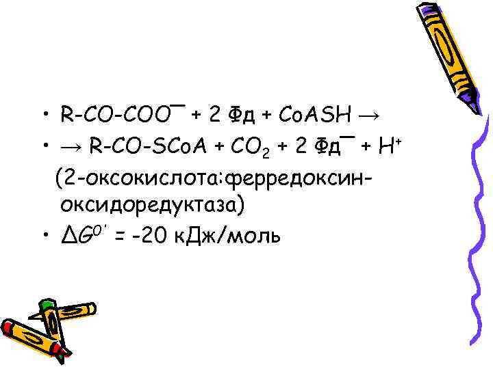  • R-CO-COO‾ + 2 Фд + Co. ASH → • → R-CO-SCo. A