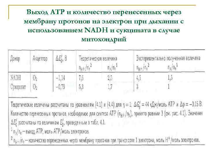 Выход АТР и количество перенесенных через мембрану протонов на электрон при дыхании с использованием