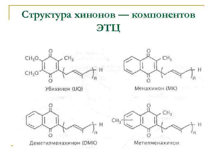 Структура хинонов — компонентов ЭТЦ 