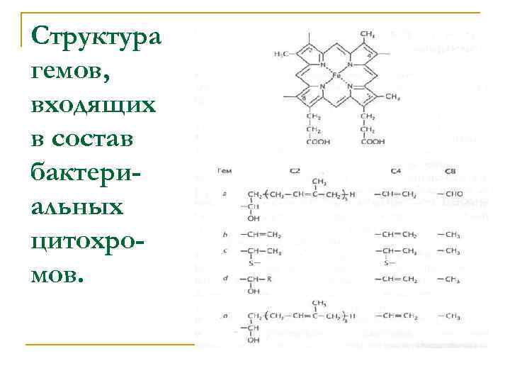 Структура гемов, входящих в состав бактериальных цитохромов. 
