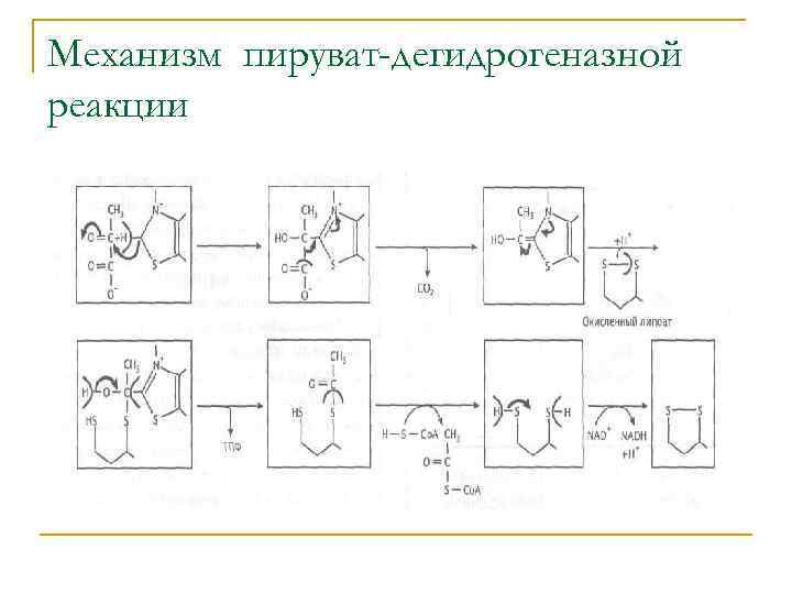 Механизм пируват-дегидрогеназной реакции 