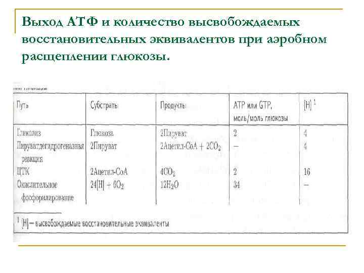 Выход АТФ и количество высвобождаемых восстановительных эквивалентов при аэробном расщеплении глюкозы. 