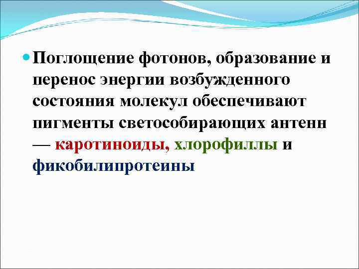  Поглощение фотонов, образование и перенос энергии возбужденного состояния молекул обеспечивают пигменты светособирающих антенн