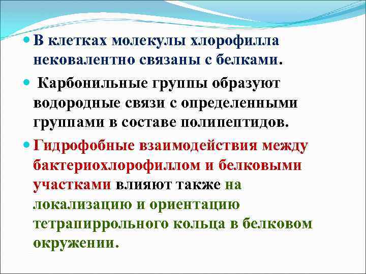  В клетках молекулы хлорофилла нековалентно связаны с белками. Карбонильные группы образуют водородные связи
