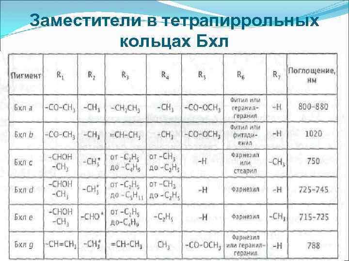 Заместители в тетрапиррольных кольцах Бхл 