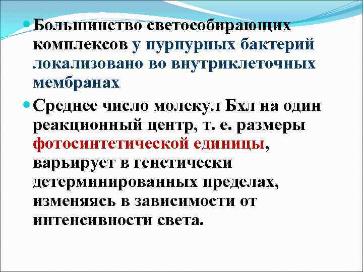  Большинство светособирающих комплексов у пурпурных бактерий локализовано во внутриклеточных мембранах Среднее число молекул