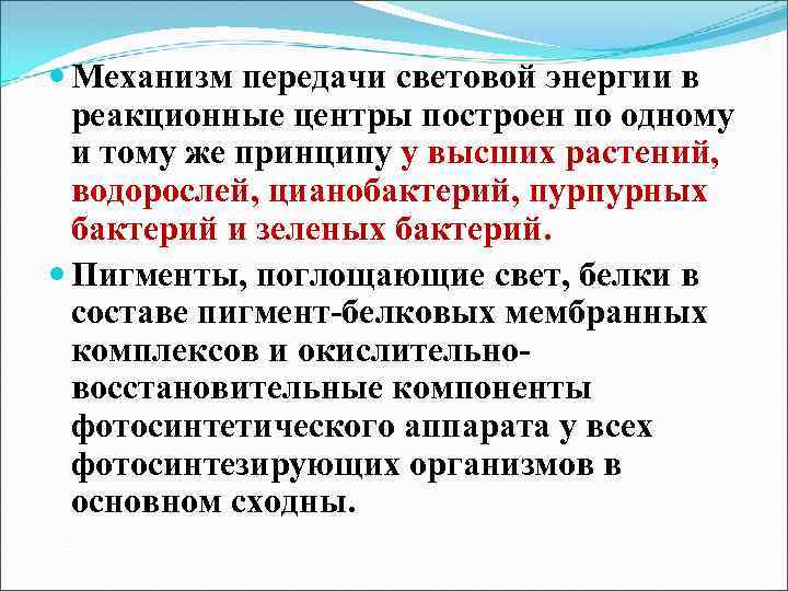  Механизм передачи световой энергии в реакционные центры построен по одному и тому же