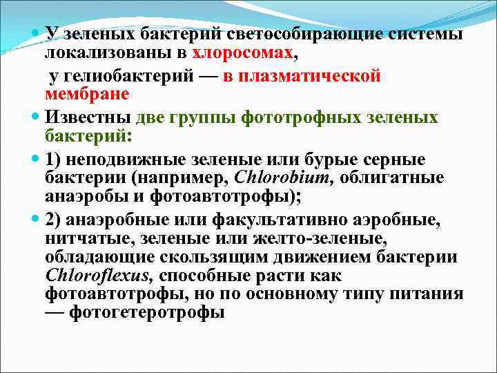  У зеленых бактерий светособирающие системы локализованы в хлоросомах, у гелиобактерий — в плазматической