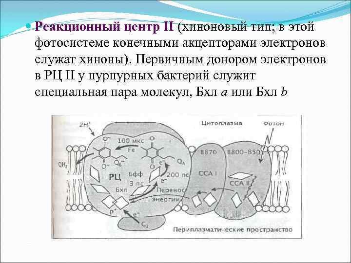 Конечный акцептор электронов