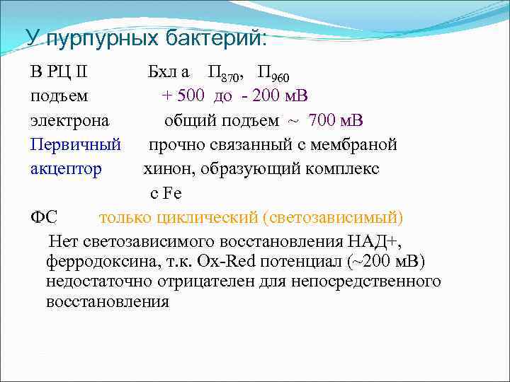 У пурпурных бактерий: В РЦ II подъем электрона Первичный акцептор Бхл а П 870,