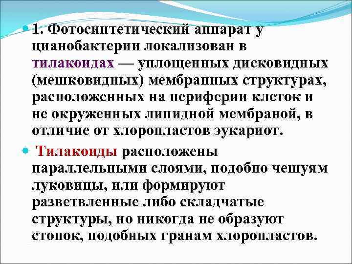  1. Фотосинтетический аппарат у цианобактерии локализован в тилакоидах — уплощенных дисковидных (мешковидных) мембранных