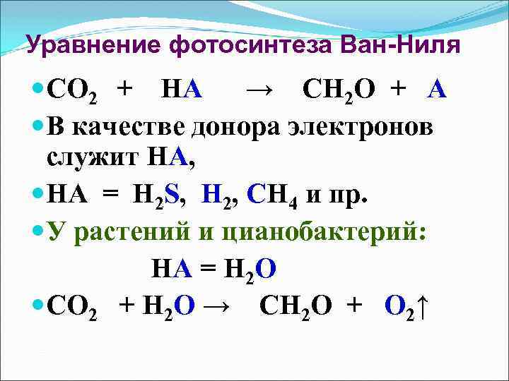 Уравнение фотосинтеза Ван-Ниля СО 2 + НА → СН 2 О + А В