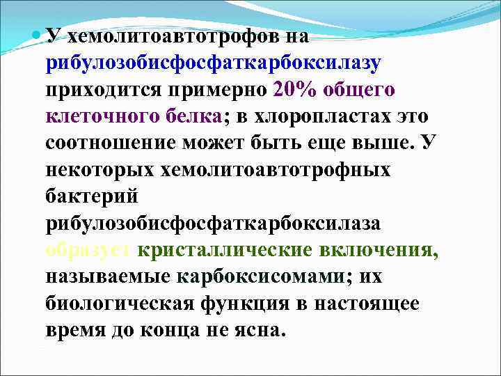  У хемолитоавтотрофов на рибулозобисфосфаткарбоксилазу приходится примерно 20% общего клеточного белка; в хлоропластах это