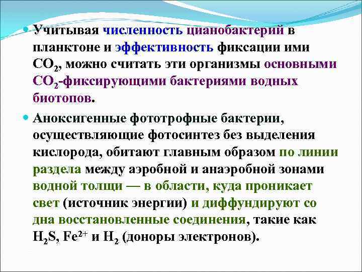  Учитывая численность цианобактерий в планктоне и эффективность фиксации ими СО 2, можно считать