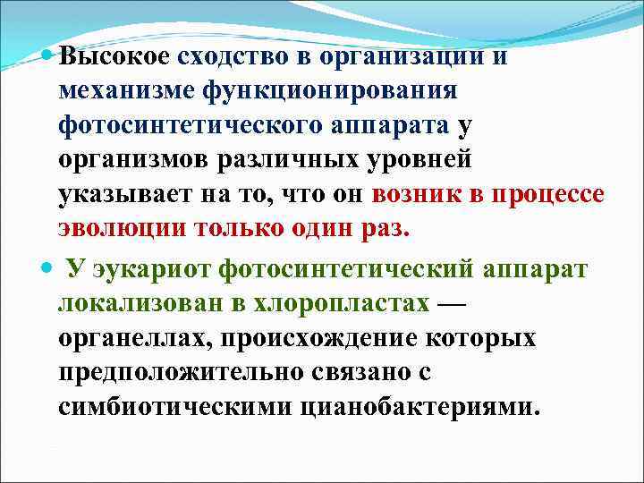  Высокое сходство в организации и механизме функционирования фотосинтетического аппарата у организмов различных уровней