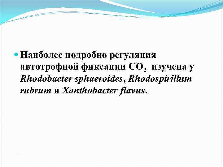  Наиболее подробно регуляция автотрофной фиксации СО 2 изучена у Rhodobacter sphaeroides, Rhodospirillum rubrum