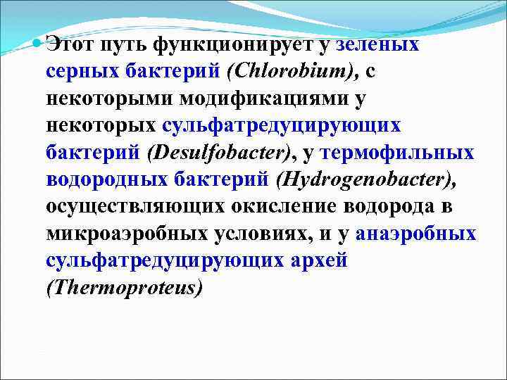  Этот путь функционирует у зеленых серных бактерий (Сhlоrоbiит), с некоторыми модификациями у некоторых