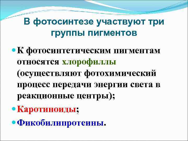 В фотосинтезе участвуют три группы пигментов К фотосинтетическим пигментам относятся хлорофиллы (осуществляют фотохимический процесс