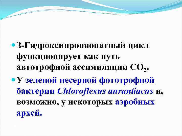  З-Гидроксипропионатный цикл функционирует как путь автотрофной ассимиляции СО 2. У зеленой несерной фототрофной