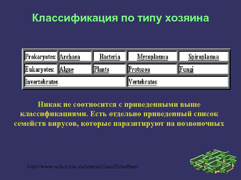 13 основ. Классификация вирусов по хозяину. Вирусы по типу хозяина. Хозяева вирусов классификация. Классификация вирусов по кругу хозяев.