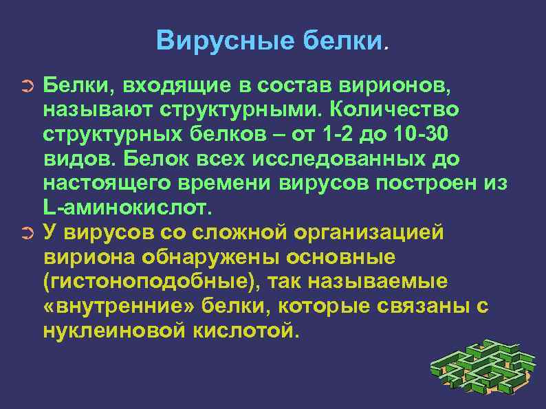 Вирусные белки