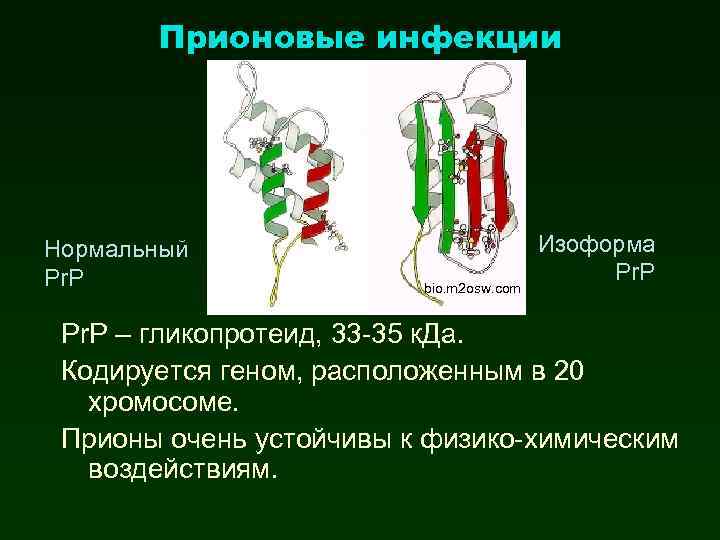 Прионовые инфекции Нормальный Pr. P bio. m 2 osw. com Изоформа Pr. P –