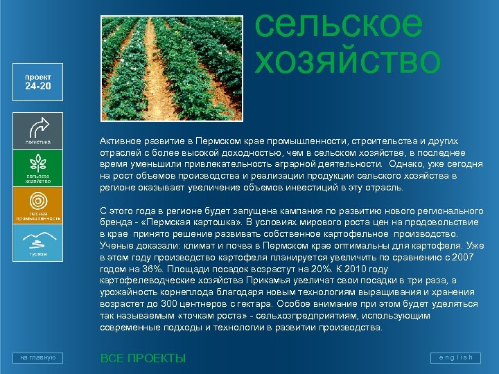 сельское хозяйство Активное развитие в Пермском крае промышленности, строительства и других отраслей с более