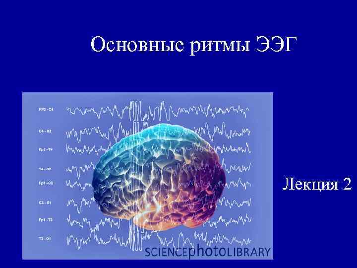 Основной ритм. Основные ритмы ЭЭГ. Электроэнцефалография ритмы ЭЭГ. ЭЭГ лекция. Электроэнцефалография характеристика основных ритмов.