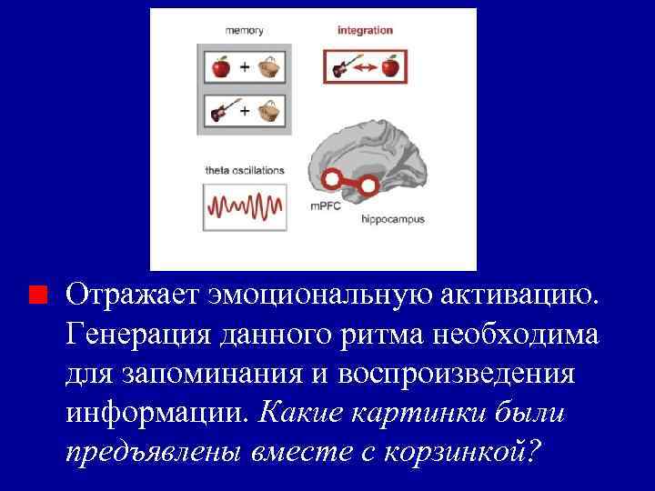 Отражает эмоциональную активацию. Генерация данного ритма необходима для запоминания и воспроизведения информации. Какие картинки